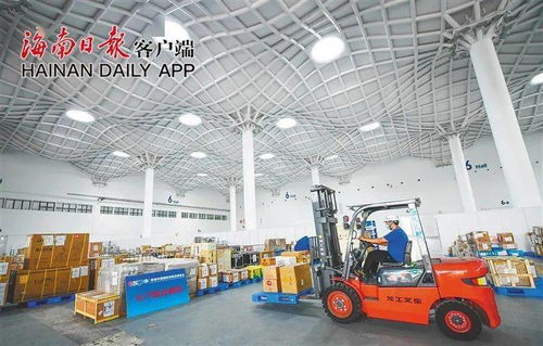 消博會布展籌備全面啟動，國內貿易代理迎商機