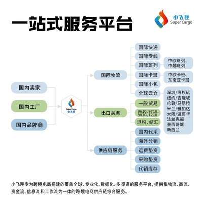 國際快遞貨運與國內貿易代理 加拿大市場的協同發展策略